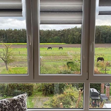 Wunderschoene Ferienwohnung Auf Dem Bauernhof Greven Exterior foto