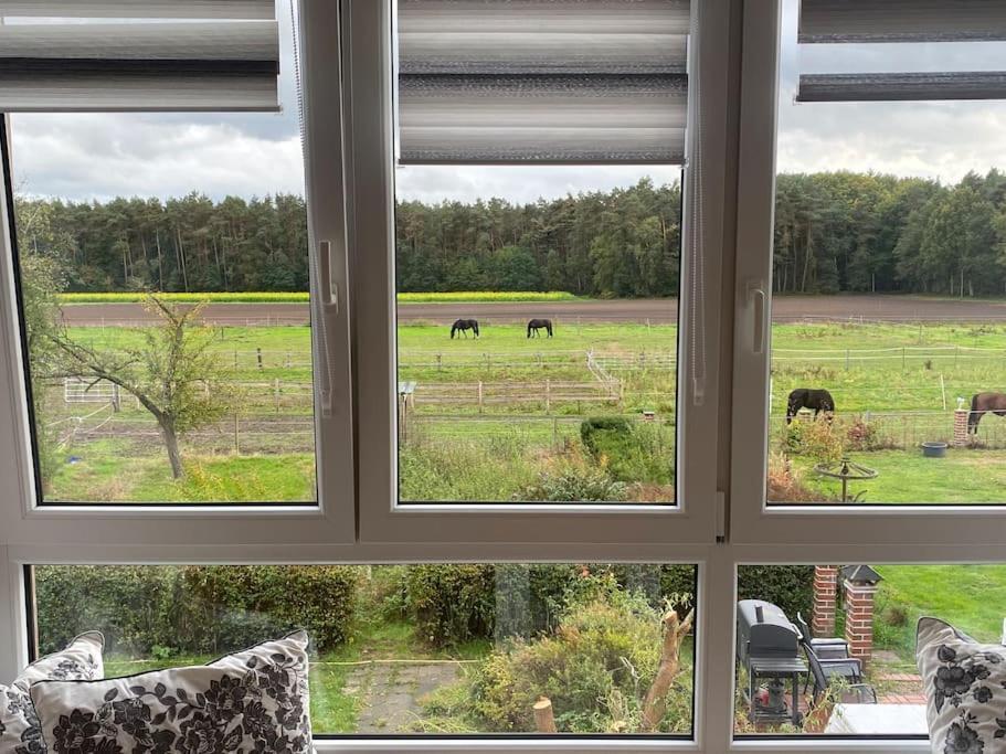 Wunderschoene Ferienwohnung Auf Dem Bauernhof Greven Exterior foto
