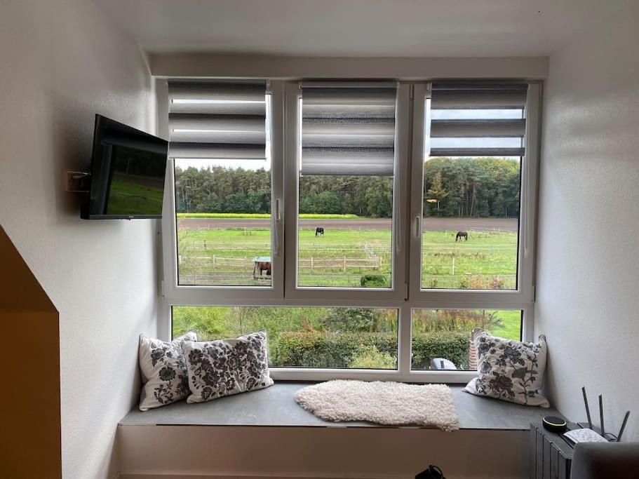 Wunderschoene Ferienwohnung Auf Dem Bauernhof Greven Exterior foto